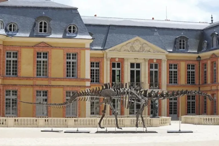 Un colosse préhistorique s’invite aux enchères : L’Apatosaurus « Vulcain »