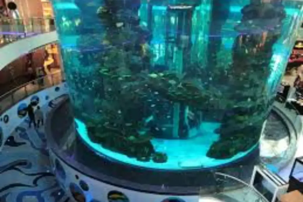 Morocco Mall Shopping Casablanca vue aquarium